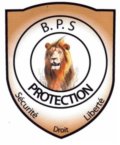 Logo BPS Protection